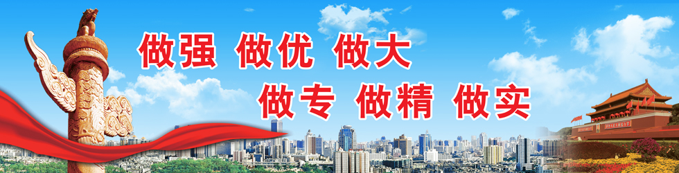 做强  做优  做大  做专  做精  做实
